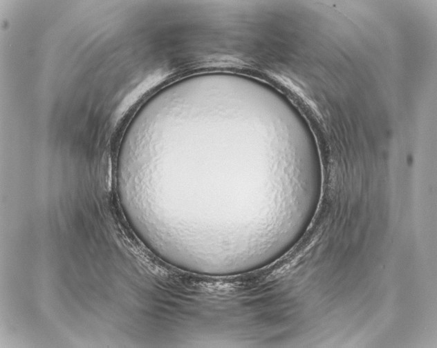 X0000087361317200705111635