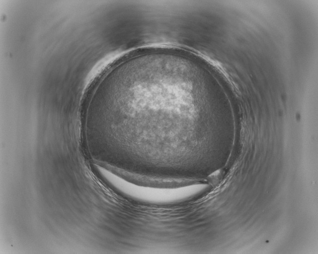 X0000087361319200705111635