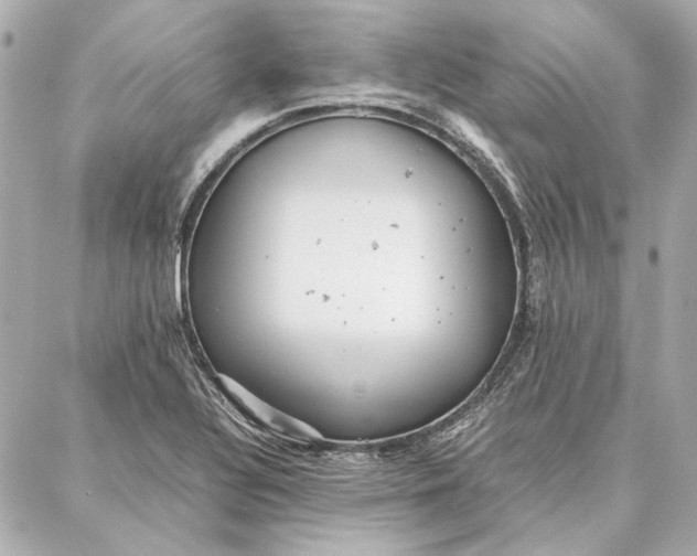 X0000087361320200705111635