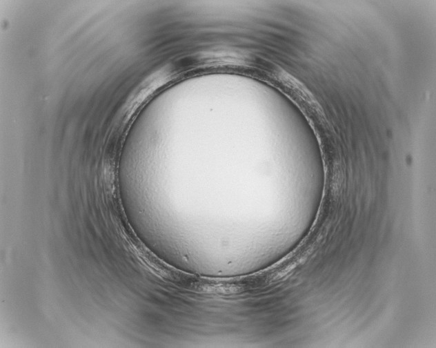 X0000087361321200705111635