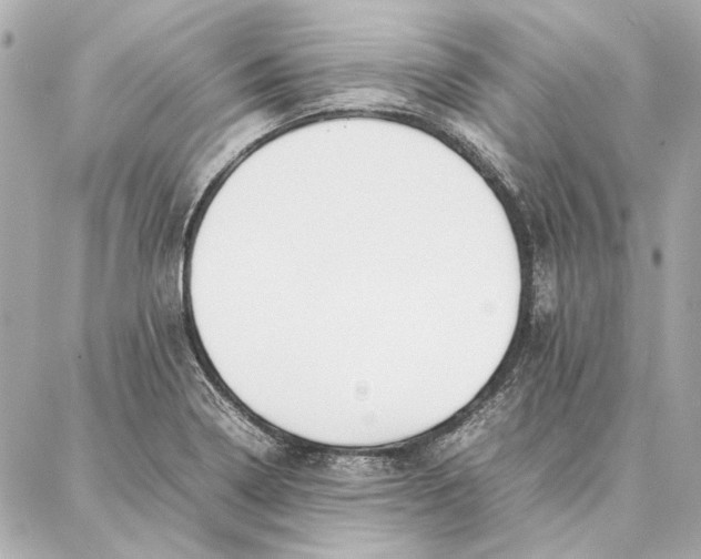 X0000087361322200705111635