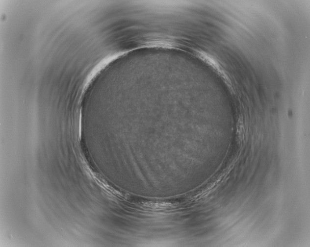 X0000087361323200705111635