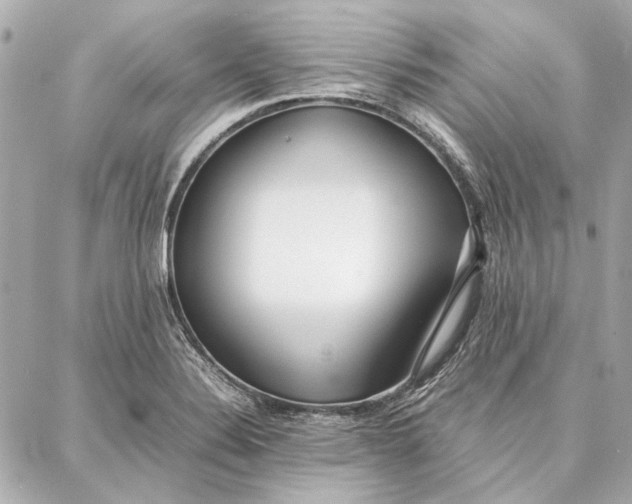 X0000087361324200705111635