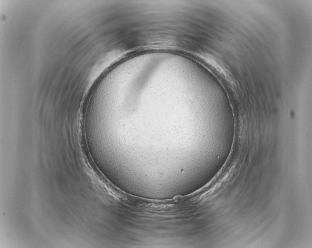 X0000087361325200705111635