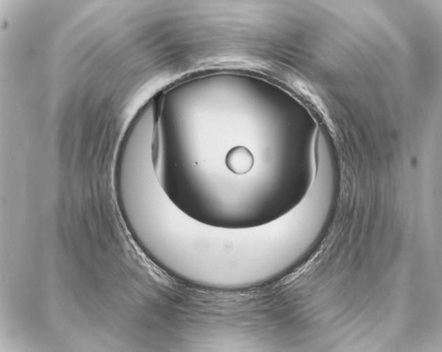 X0000087361328200705111635