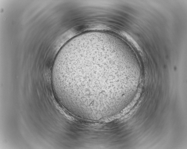 X0000087361329200705111635