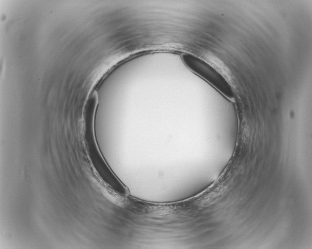 X0000087361332200705111635