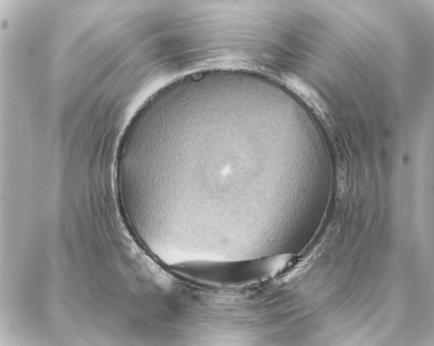 X0000087361334200705111635