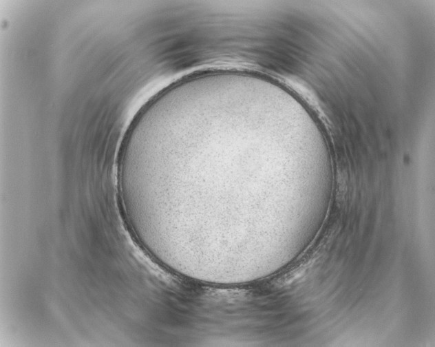 X0000087361335200705111635