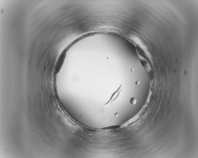 X0000087361336200705111635