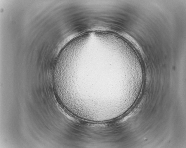 X0000087361337200705111635