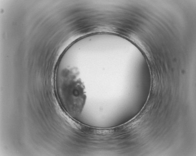 X0000087361339200705111635