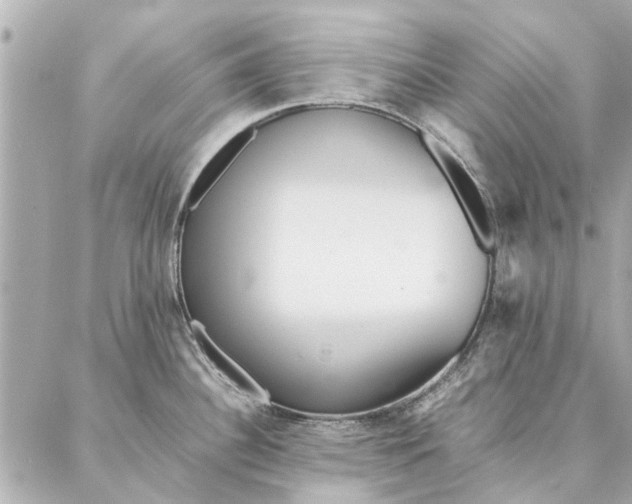 X0000087361340200705111635