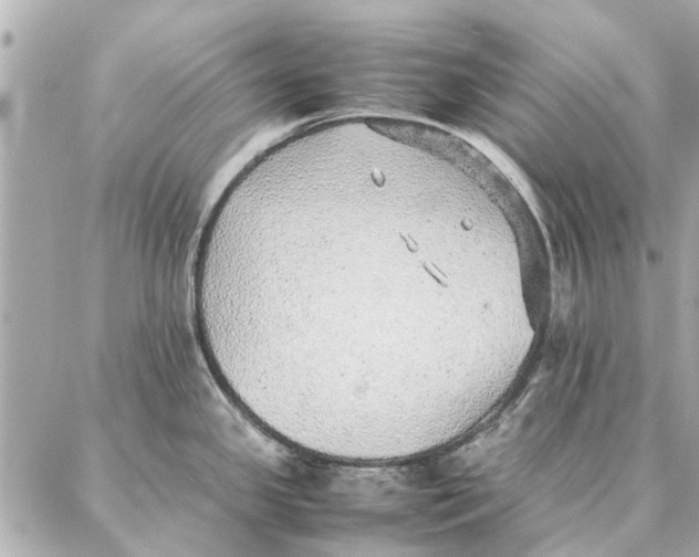 X0000087361341200705111635