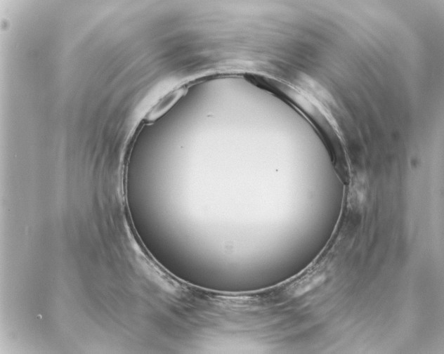 X0000087361342200705111635