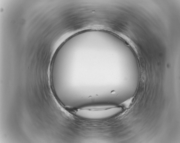 X0000087361343200705111635