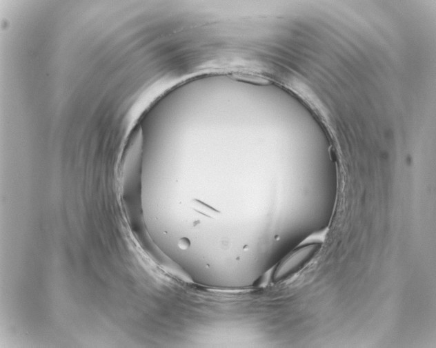 X0000087361344200705111635