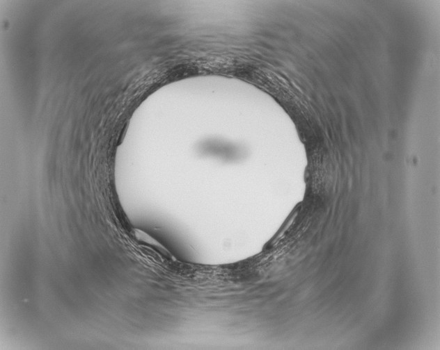 X0000087361345200705111635