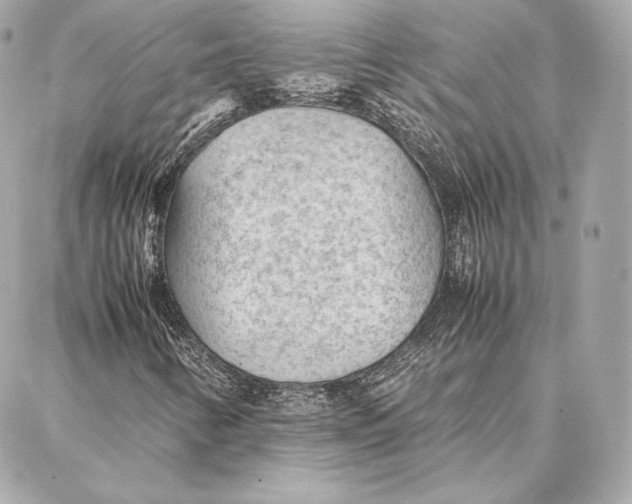 X0000087361346200705111635