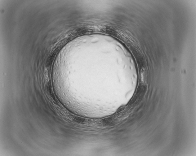 X0000087361347200705111634