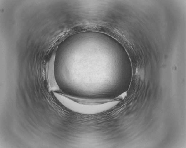 X0000087361348200705111634