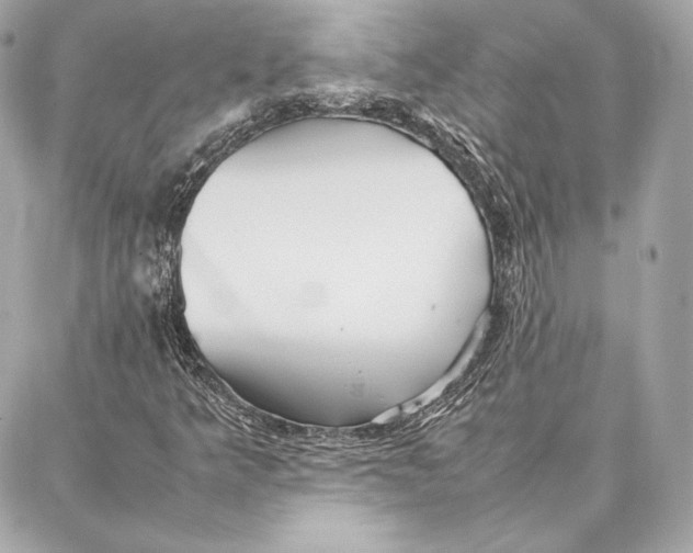 X0000087361349200705111634