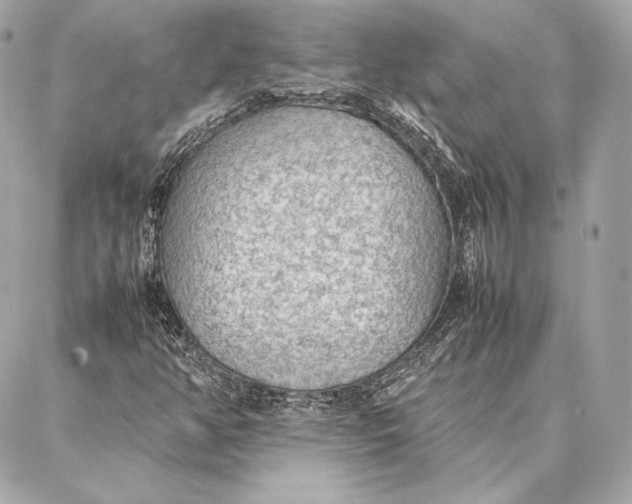 X0000087361350200705111634