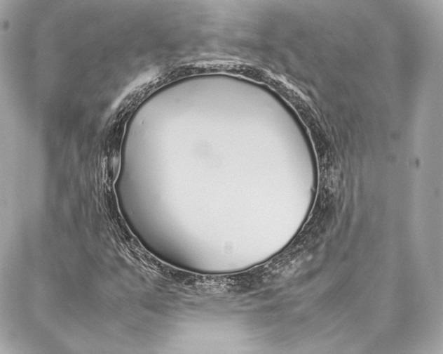 X0000087361351200705111634