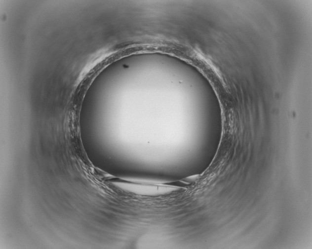 X0000087361352200705111634