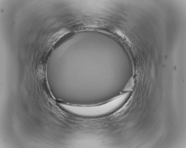 X0000087361353200705111634