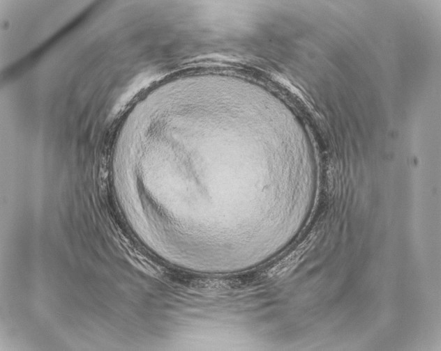 X0000087361355200705111634