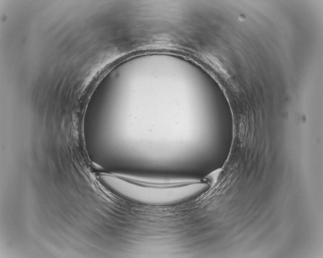 X0000087361356200705111634