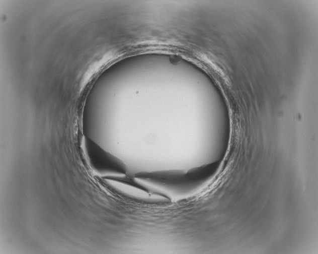 X0000087361357200705111634