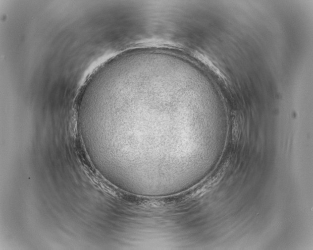 X0000087361358200705111634