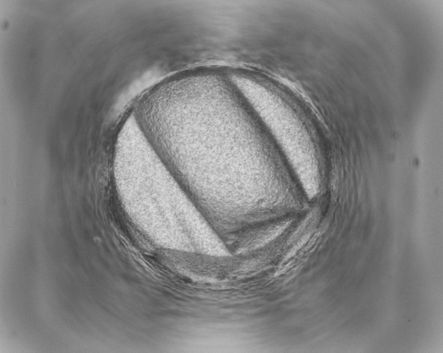 X0000087361359200705111634