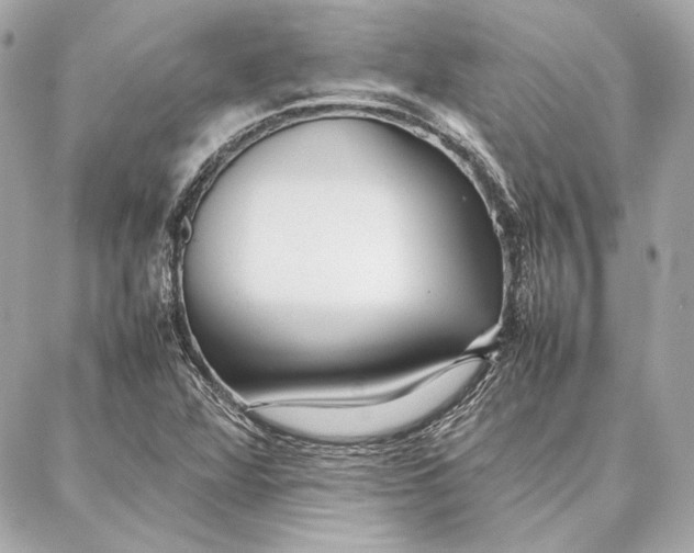 X0000087361360200705111634