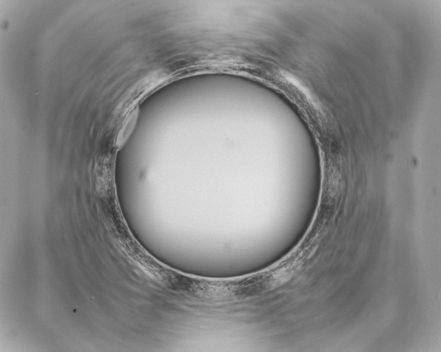 X0000087361361200705111634