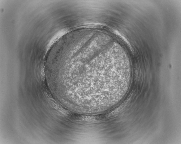 X0000087361362200705111634