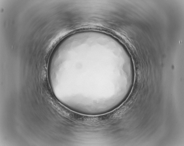 X0000087361363200705111634