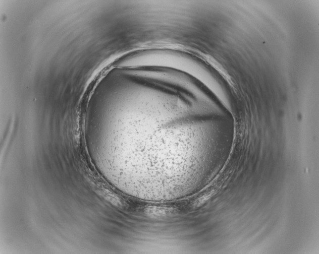 X0000087361364200705111634