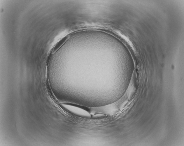 X0000087361365200705111634