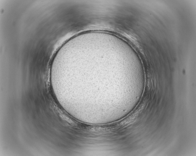 X0000087361366200705111634