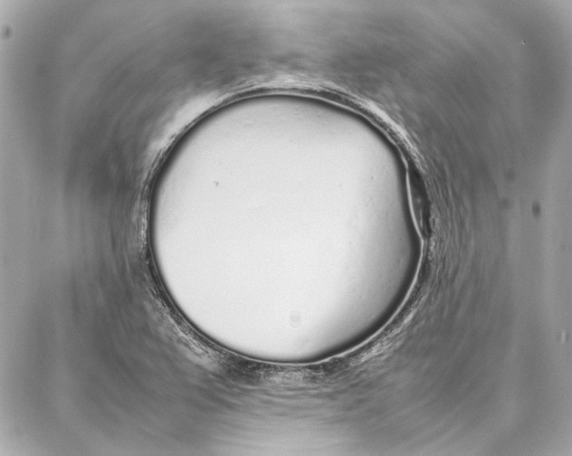 X0000087361367200705111634