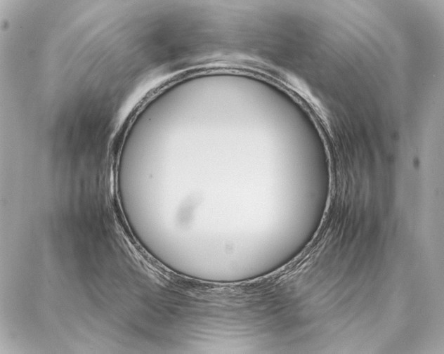 X0000087361368200705111634