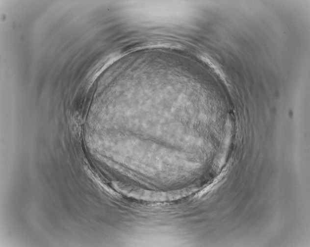 X0000087361369200705111634