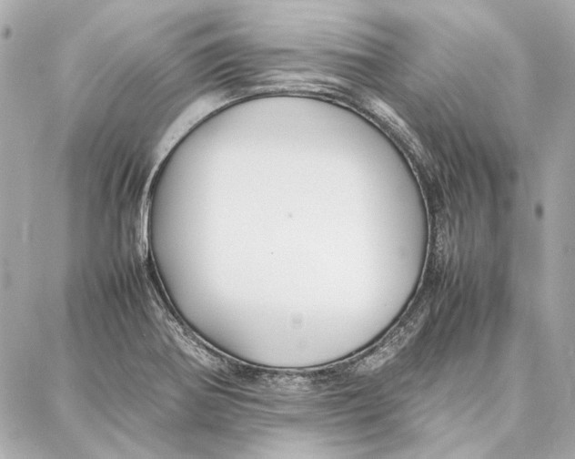 X0000087361370200705111634