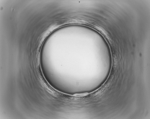 X0000087361371200705111634