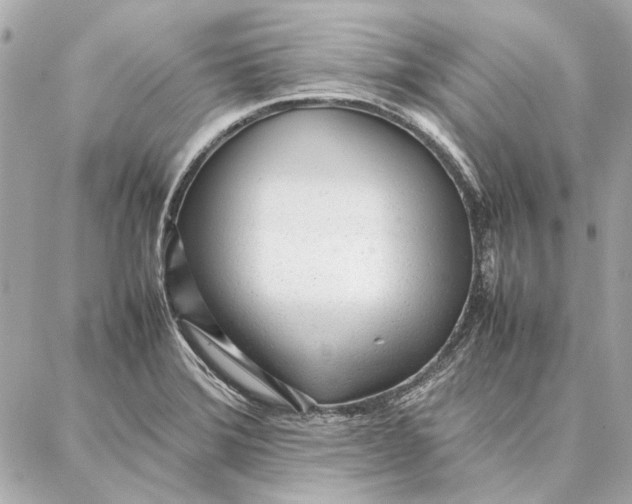 X0000087361372200705111634