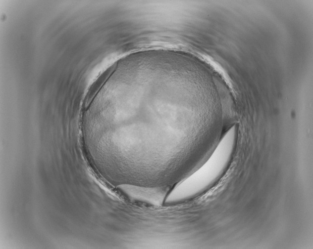 X0000087361373200705111634