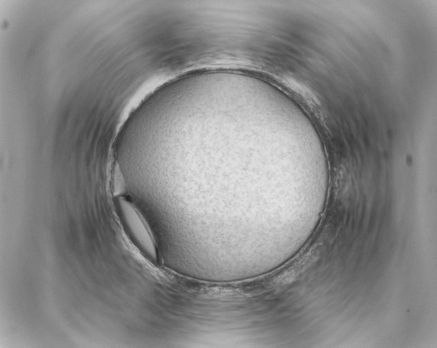 X0000087361374200705111634